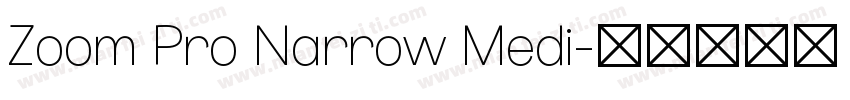 Zoom Pro Narrow Medi字体转换